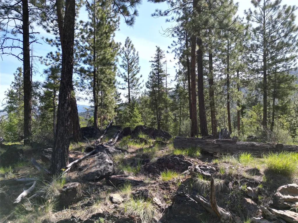 Nhn Tract 1c E Fork Combest Creek Road Plains MT 59859