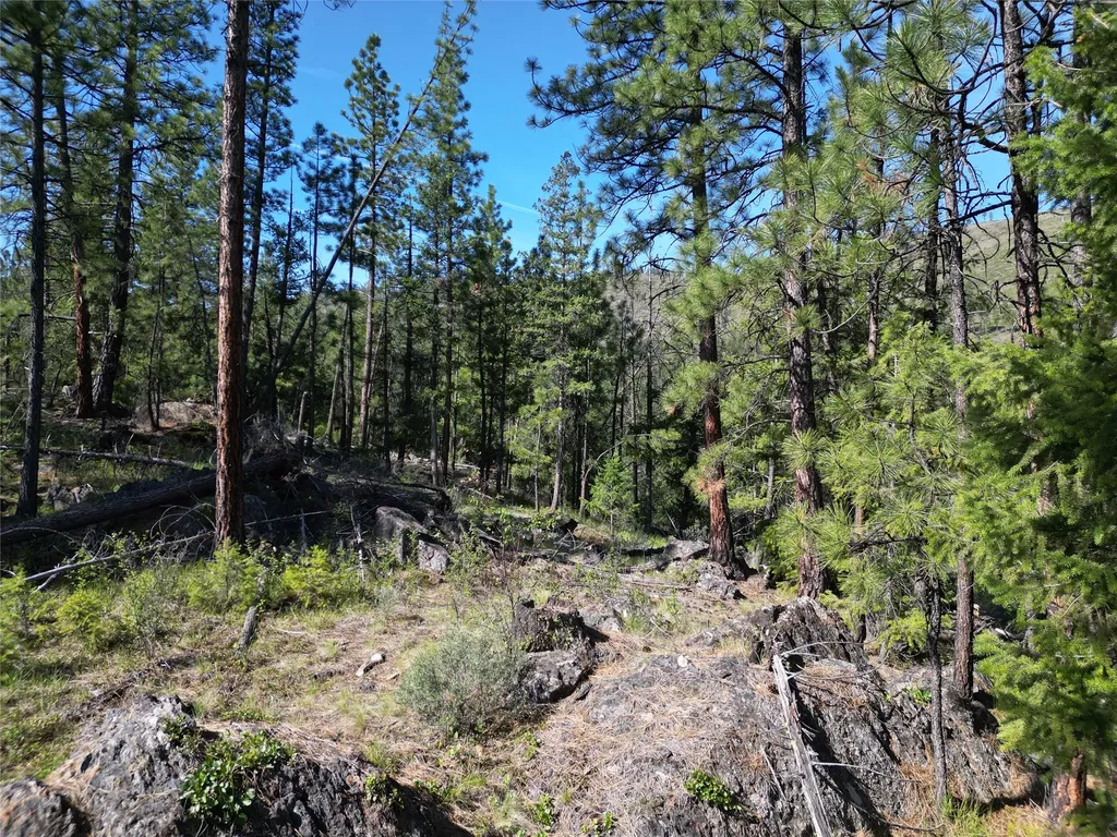 Nhn Tract 1c E Fork Combest Creek Road Plains MT 59859