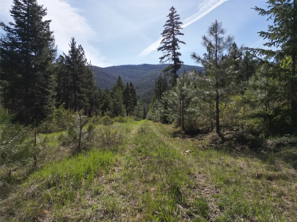 Nhn Tract 1c E Fork Combest Creek Road Plains MT 59859