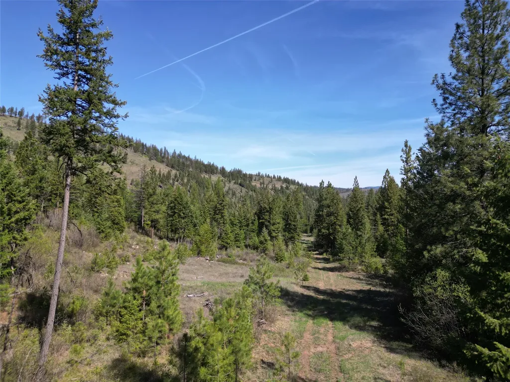 Nhn Tract 1c E Fork Combest Creek Road Plains MT 59859