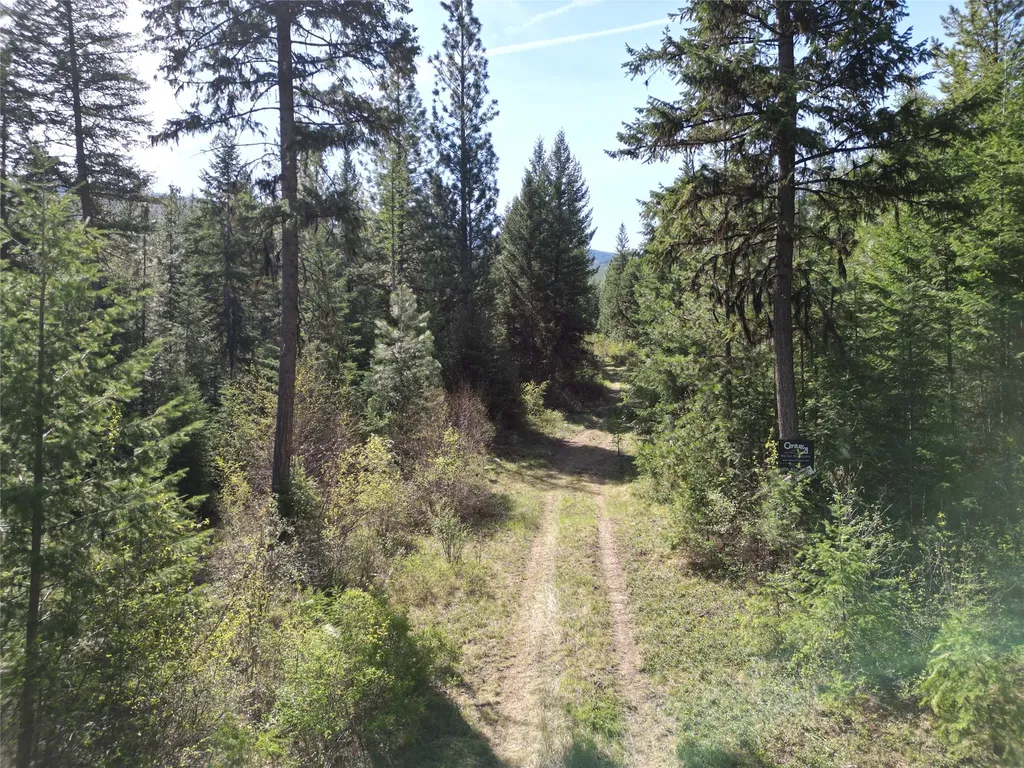 Nhn Tract 1c E Fork Combest Creek Road Plains MT 59859