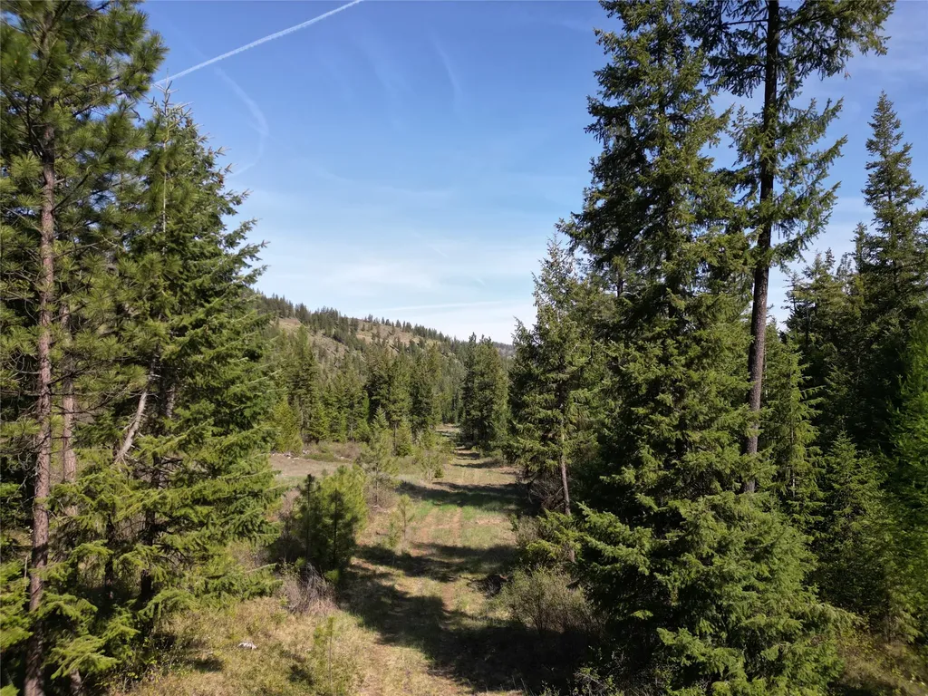 Nhn Tract 1c E Fork Combest Creek Road Plains MT 59859