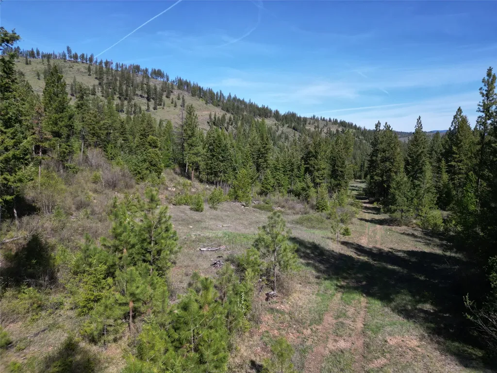 Nhn Tract 1c E Fork Combest Creek Road Plains MT 59859