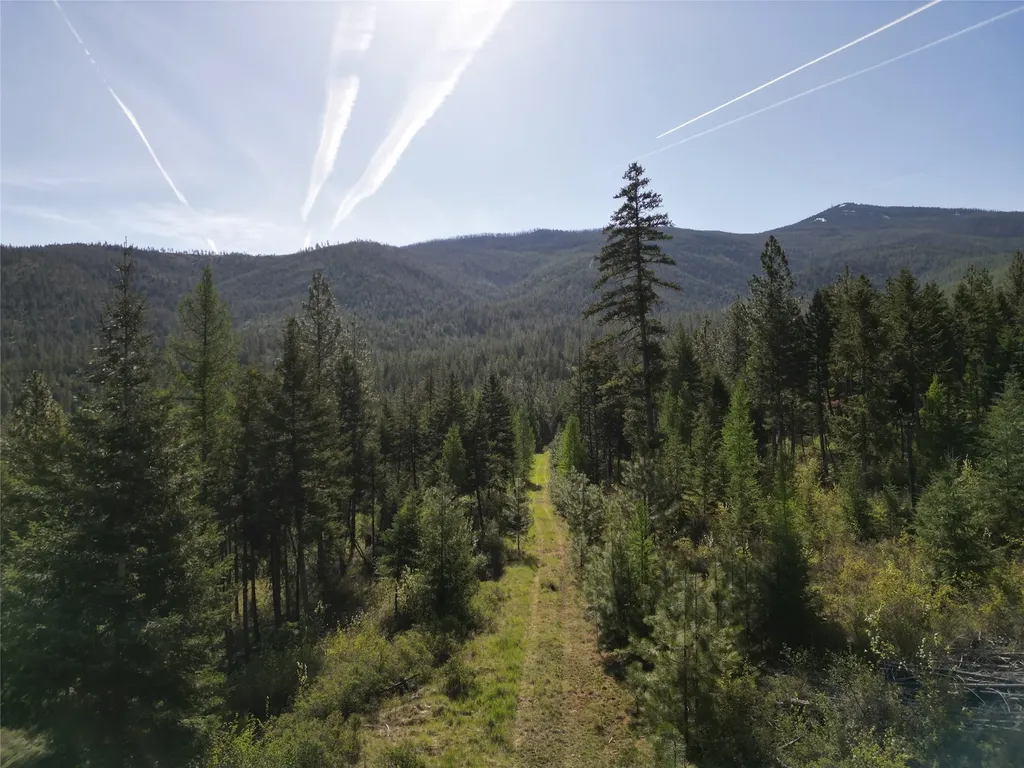 Nhn Tract 1c E Fork Combest Creek Road Plains MT 59859