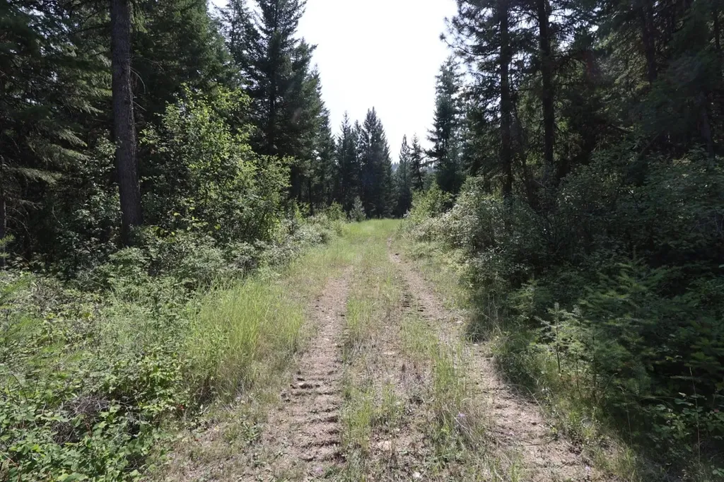 Nhn Tract 1c E Fork Combest Creek Road Plains MT 59859