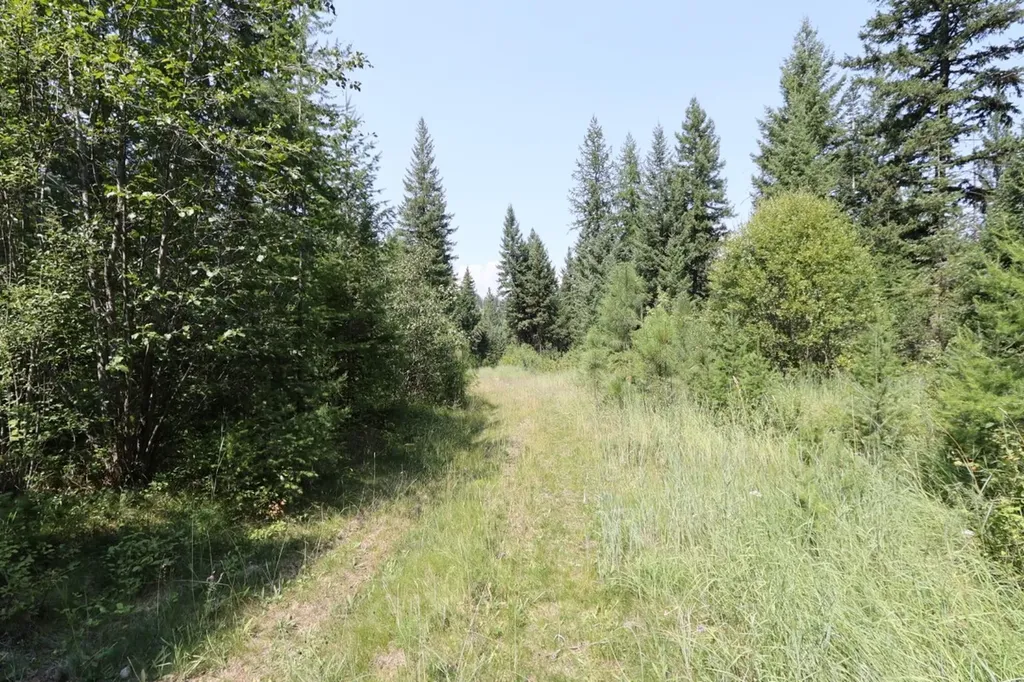 Nhn Tract 1c E Fork Combest Creek Road Plains MT 59859