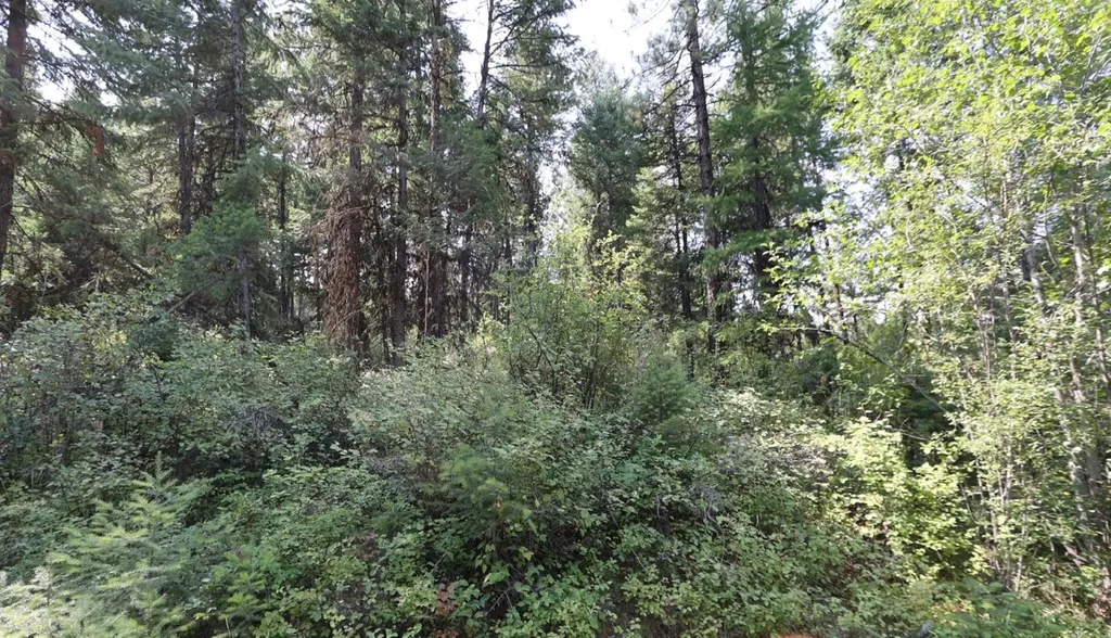 Nhn Tract 1c E Fork Combest Creek Road Plains MT 59859