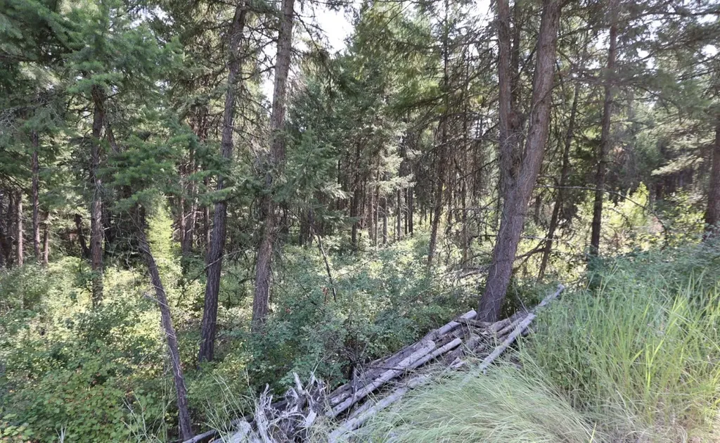 Nhn Tract 1c E Fork Combest Creek Road Plains MT 59859