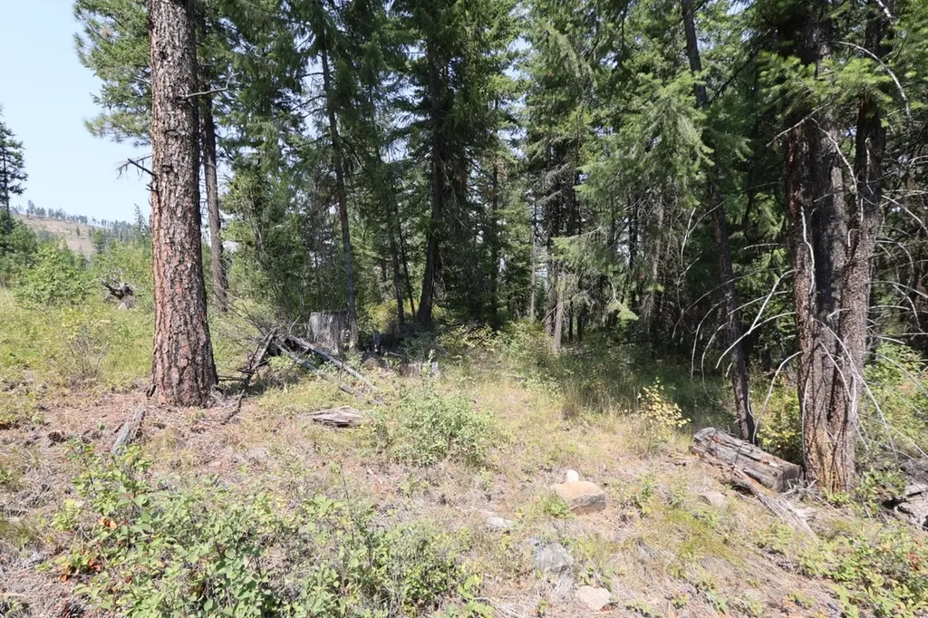 Nhn Tract 1c E Fork Combest Creek Road Plains MT 59859