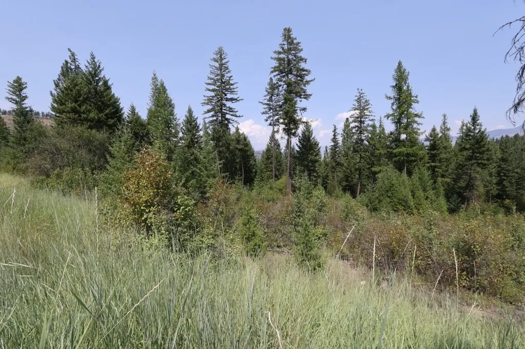 Nhn Tract 1c E Fork Combest Creek Road Plains MT 59859