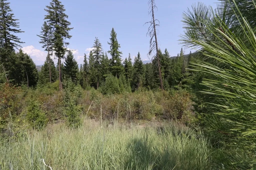 Nhn Tract 1c E Fork Combest Creek Road Plains MT 59859