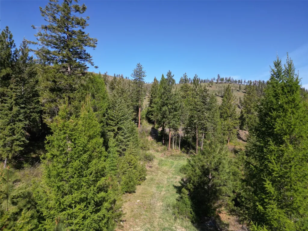 Nhn Tract 1c E Fork Combest Creek Road Plains MT 59859