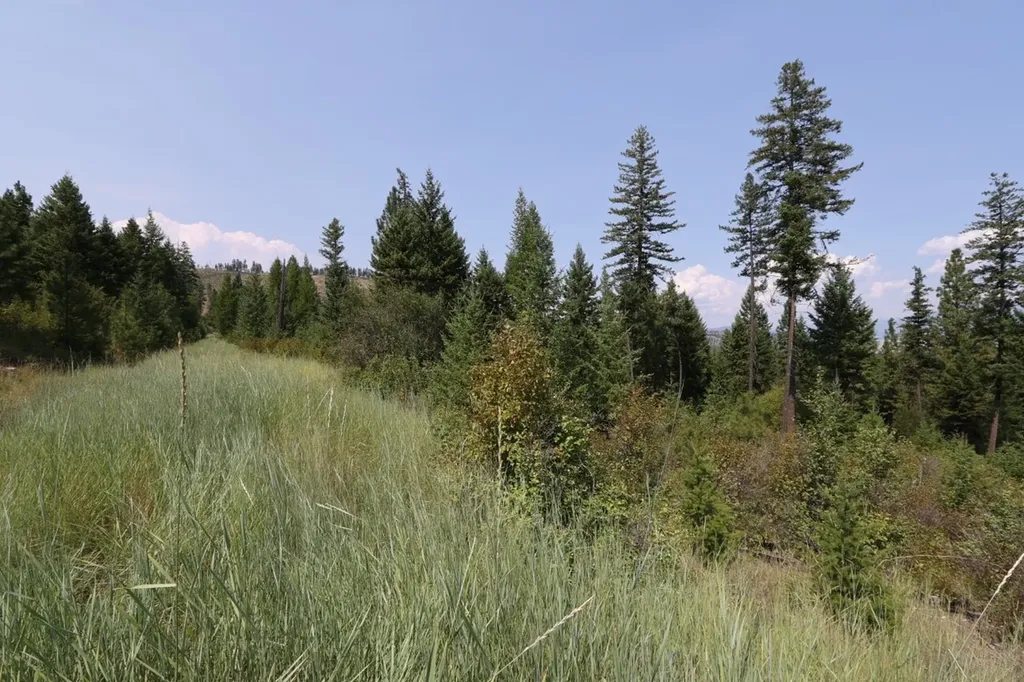 Nhn Tract 1c E Fork Combest Creek Road Plains MT 59859
