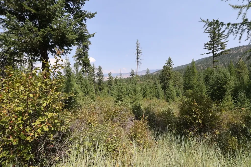 Nhn Tract 1c E Fork Combest Creek Road Plains MT 59859