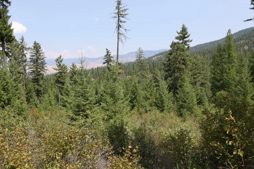 Nhn Tract 1c E Fork Combest Creek Road Plains MT 59859