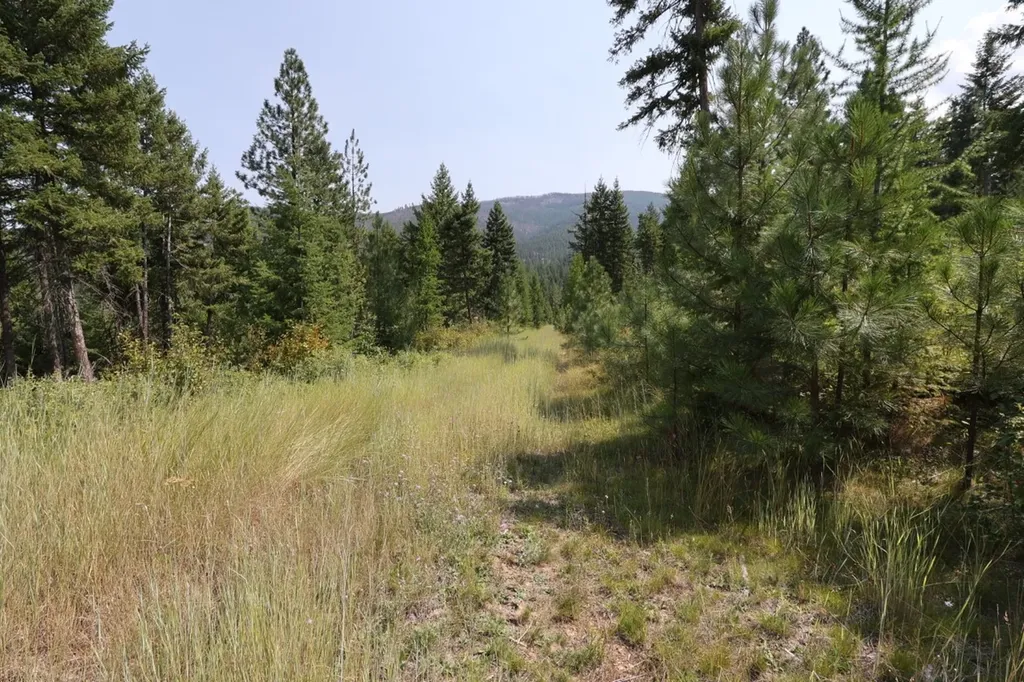 Nhn Tract 1c E Fork Combest Creek Road Plains MT 59859