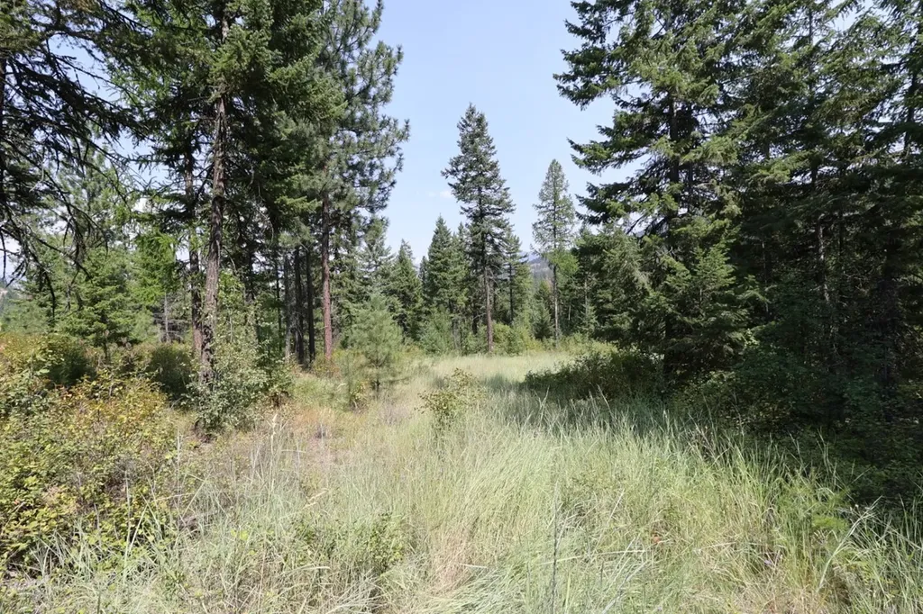 Nhn Tract 1c E Fork Combest Creek Road Plains MT 59859