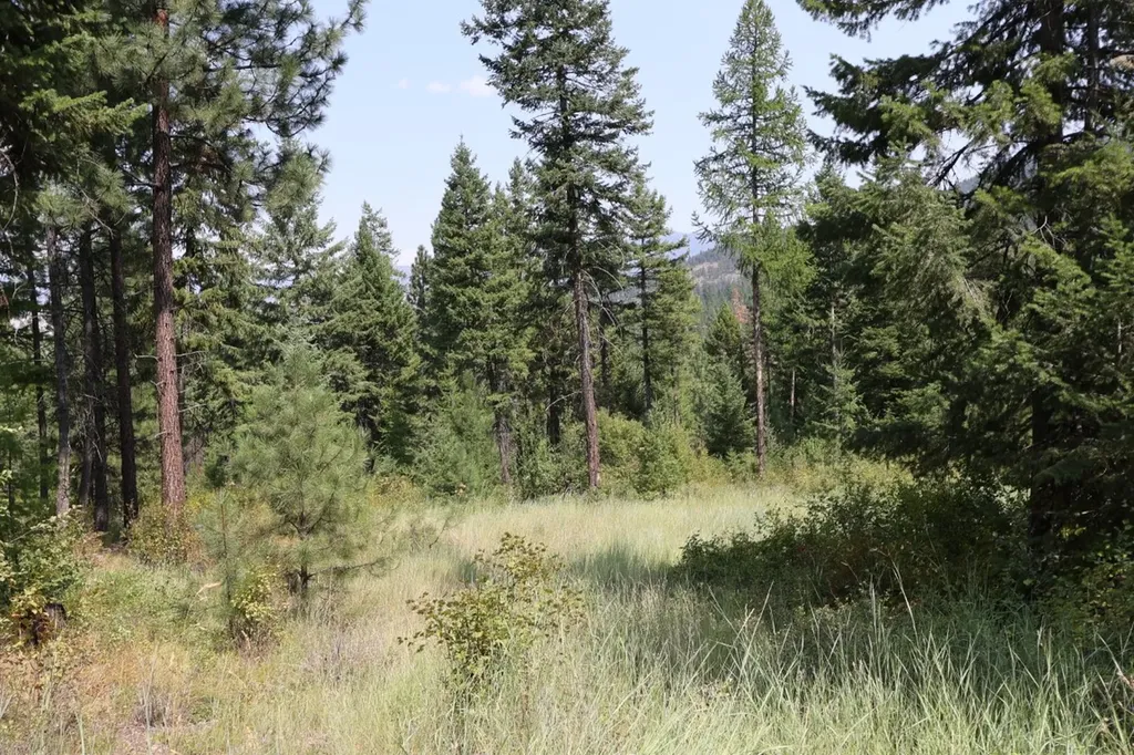 Nhn Tract 1c E Fork Combest Creek Road Plains MT 59859