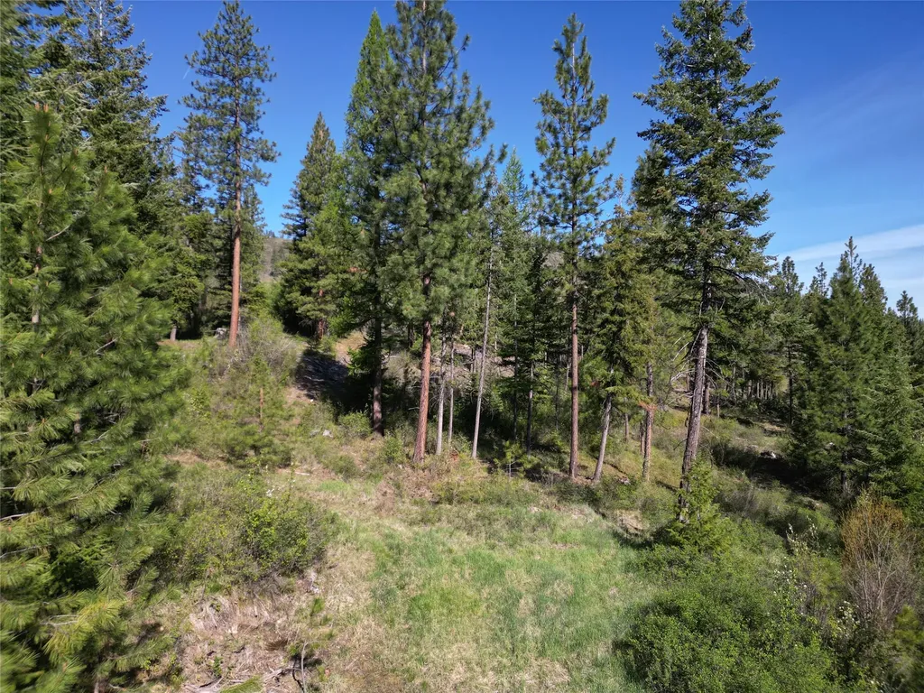 Nhn Tract 1c E Fork Combest Creek Road Plains MT 59859