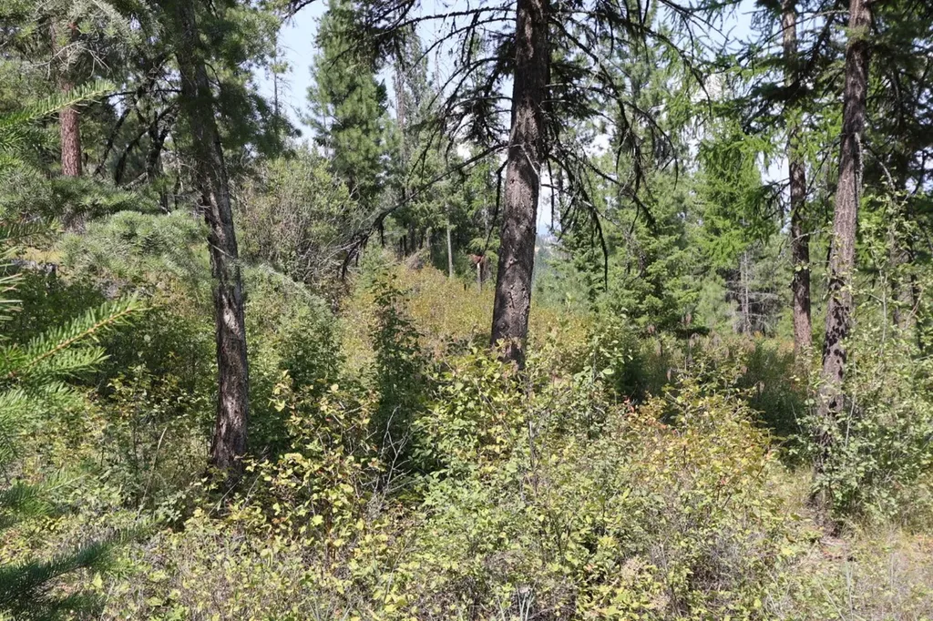 Nhn Tract 1c E Fork Combest Creek Road Plains MT 59859