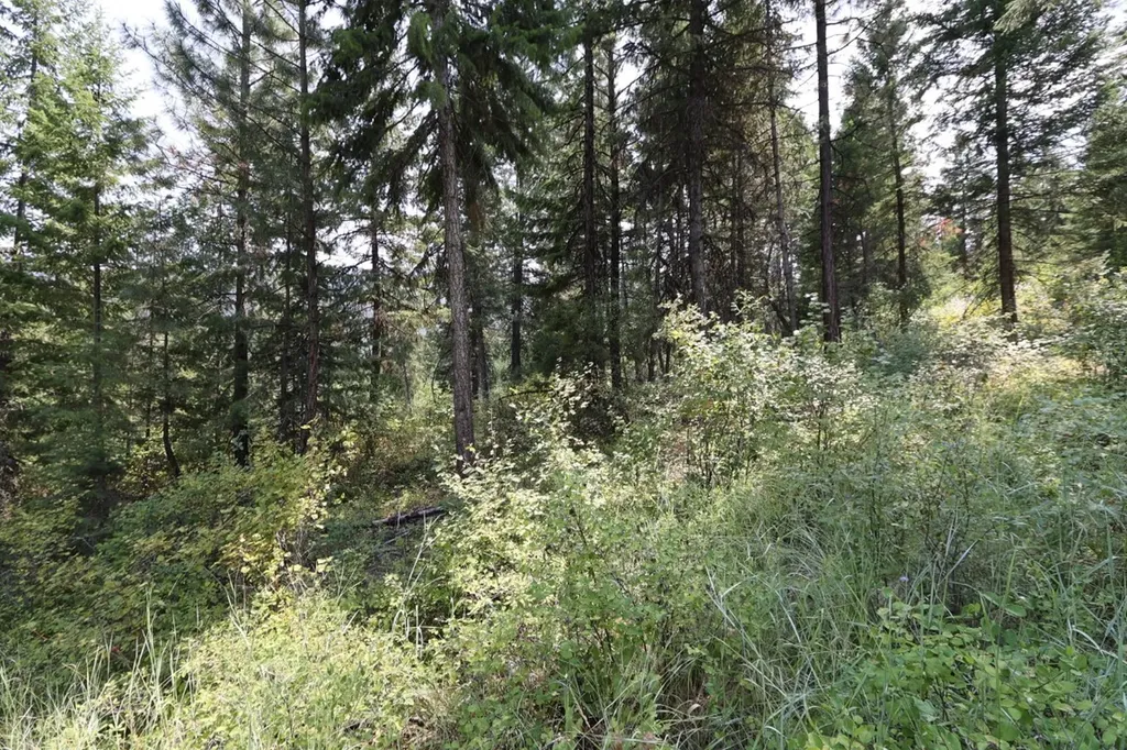 Nhn Tract 1c E Fork Combest Creek Road Plains MT 59859