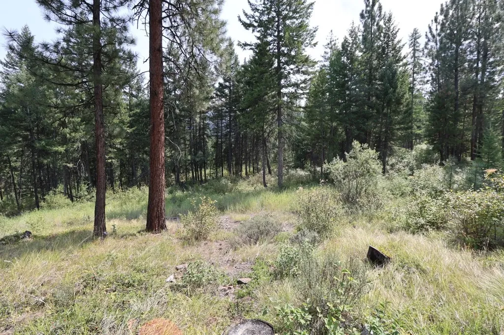 Nhn Tract 1c E Fork Combest Creek Road Plains MT 59859