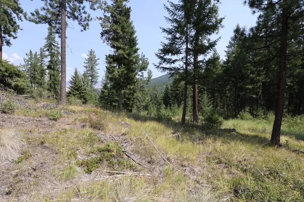 Nhn Tract 1c E Fork Combest Creek Road Plains MT 59859