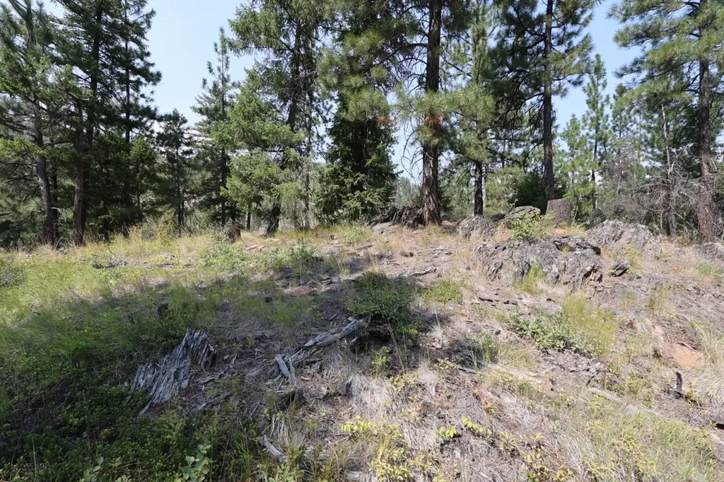 Nhn Tract 1c E Fork Combest Creek Road Plains MT 59859