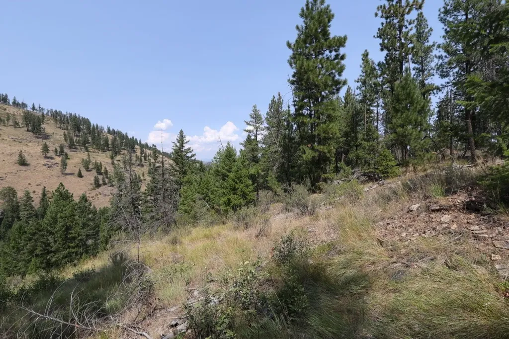 Nhn Tract 1c E Fork Combest Creek Road Plains MT 59859