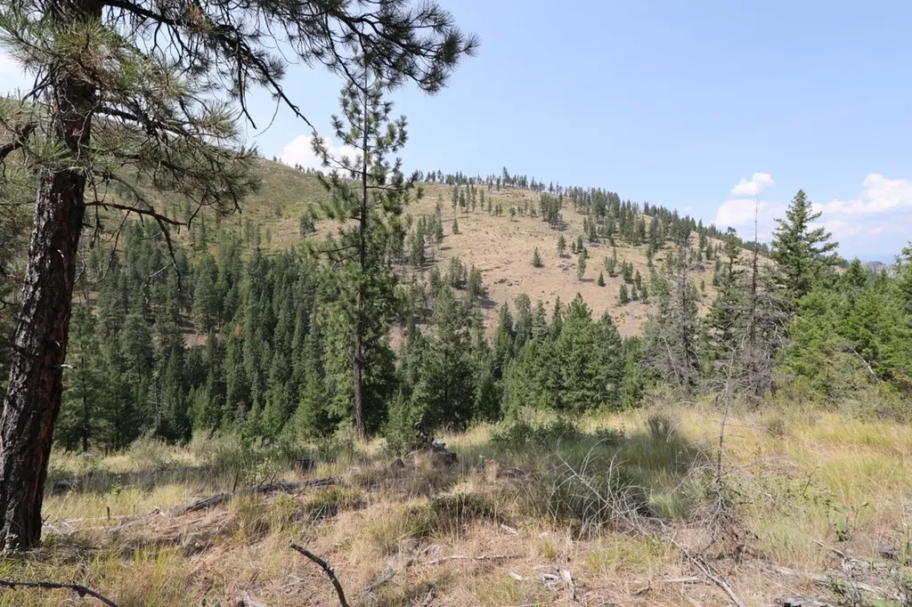 Nhn Tract 1c E Fork Combest Creek Road Plains MT 59859