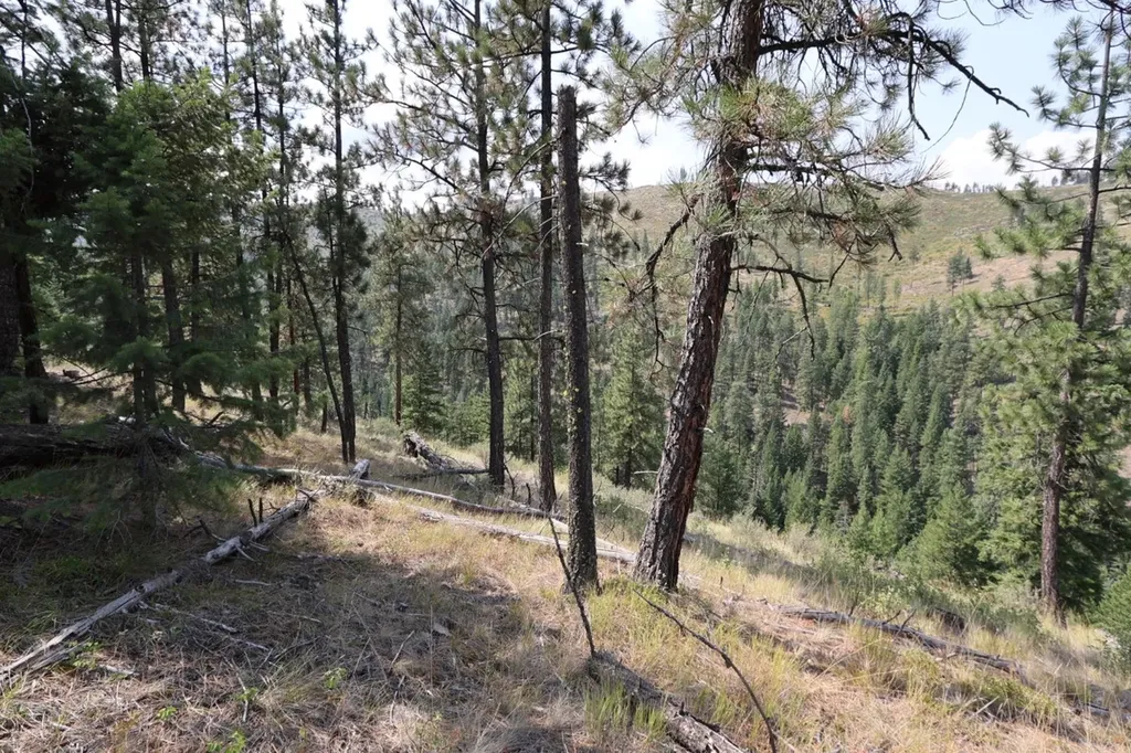 Nhn Tract 1c E Fork Combest Creek Road Plains MT 59859
