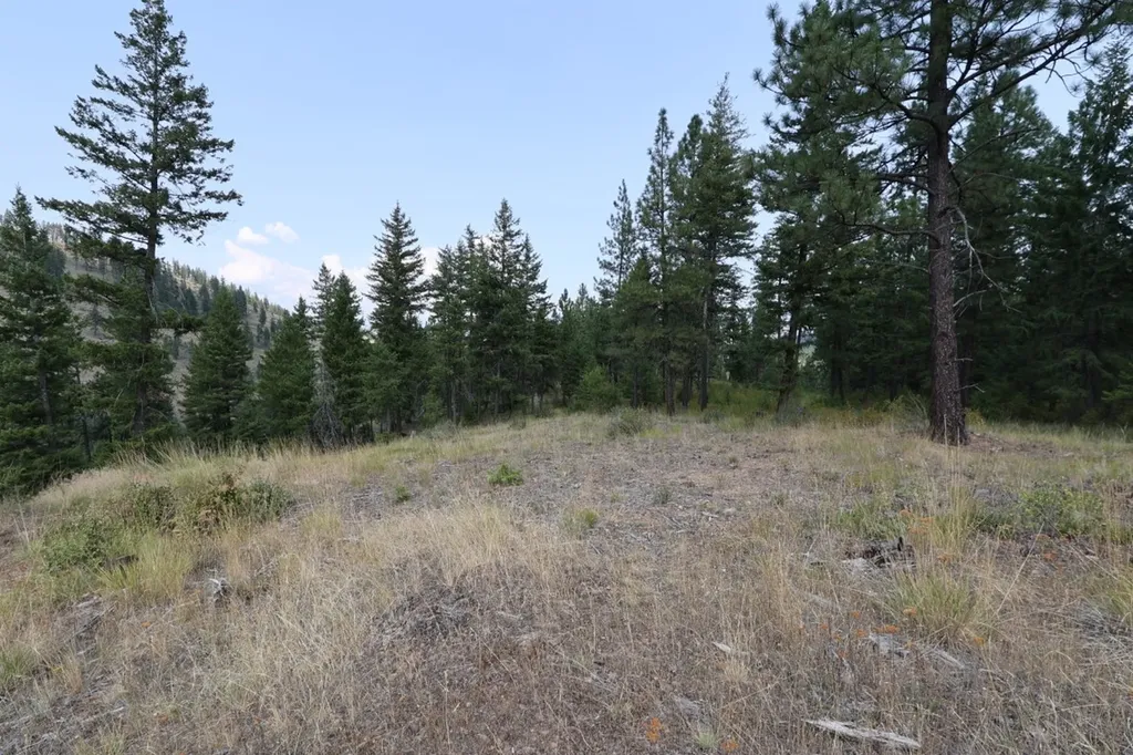 Nhn Tract 1c E Fork Combest Creek Road Plains MT 59859