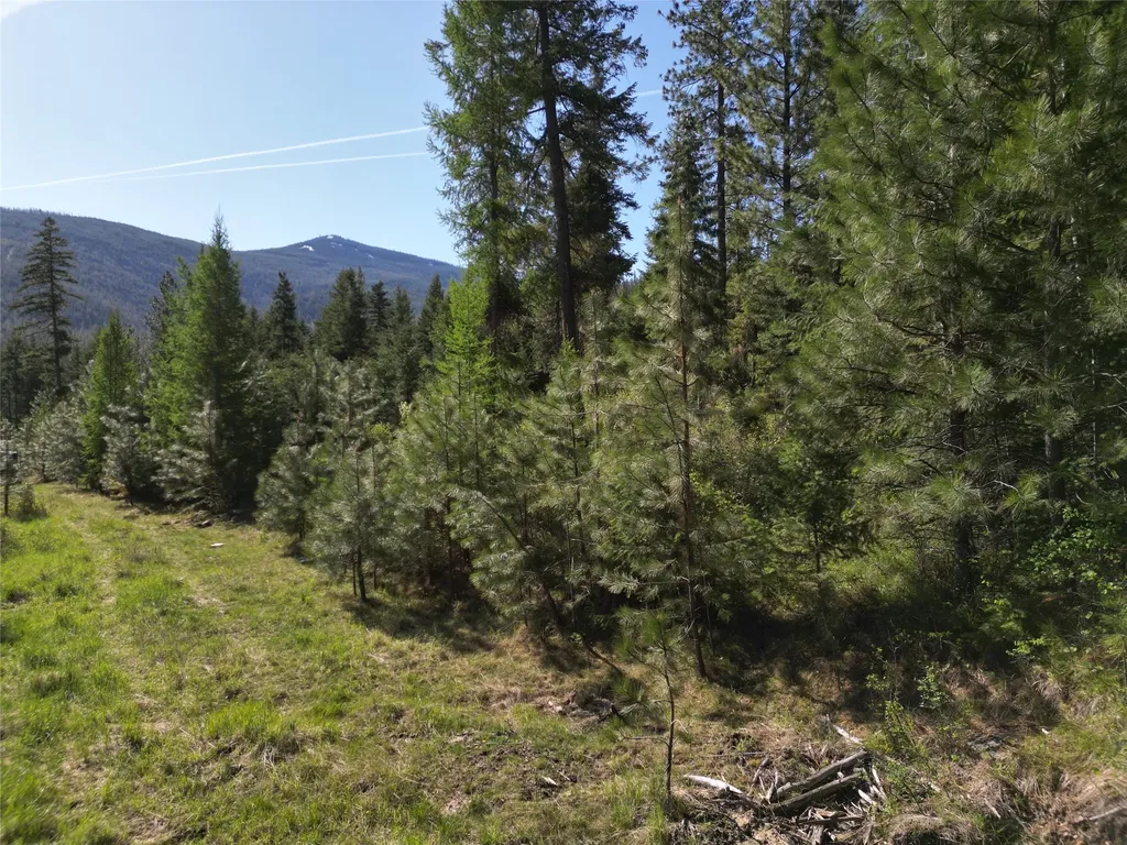 Nhn Tract 1c E Fork Combest Creek Road Plains MT 59859