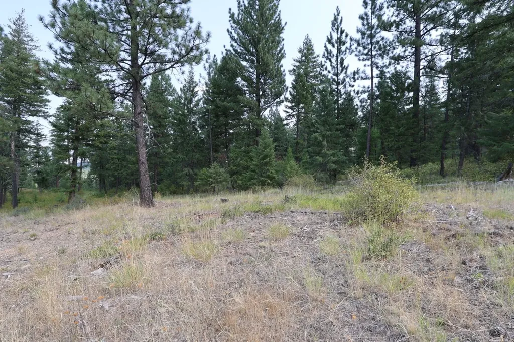 Nhn Tract 1c E Fork Combest Creek Road Plains MT 59859