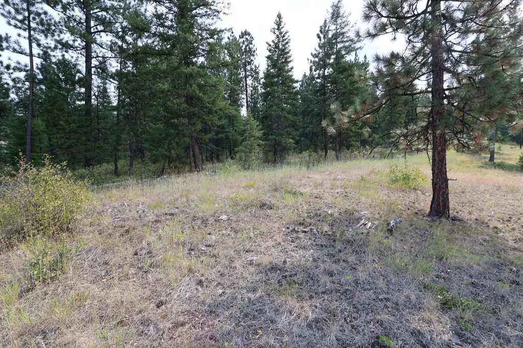 Nhn Tract 1c E Fork Combest Creek Road Plains MT 59859