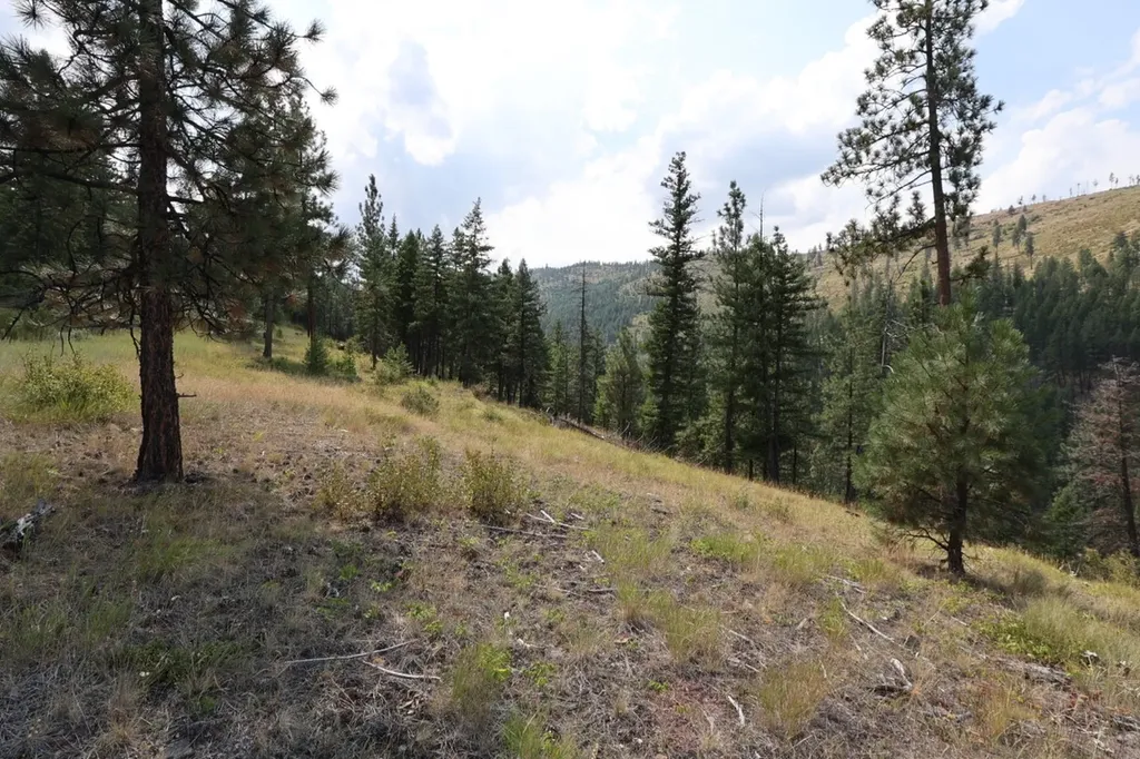 Nhn Tract 1c E Fork Combest Creek Road Plains MT 59859