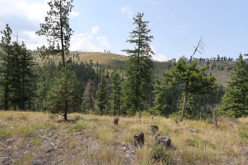 Nhn Tract 1c E Fork Combest Creek Road Plains MT 59859