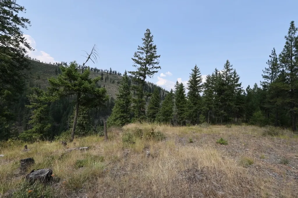 Nhn Tract 1c E Fork Combest Creek Road Plains MT 59859