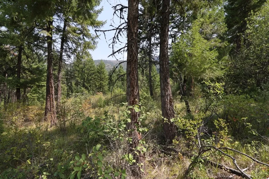 Nhn Tract 1c E Fork Combest Creek Road Plains MT 59859