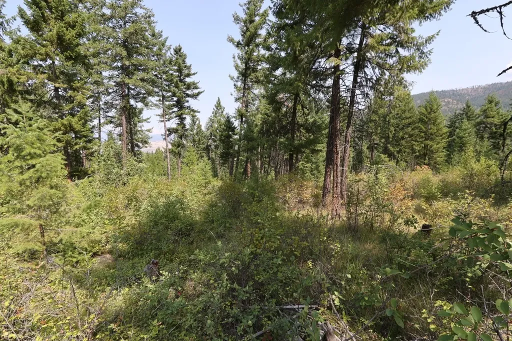 Nhn Tract 1c E Fork Combest Creek Road Plains MT 59859