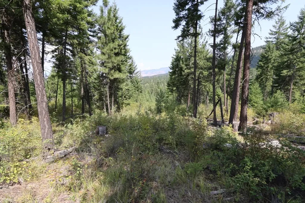 Nhn Tract 1c E Fork Combest Creek Road Plains MT 59859