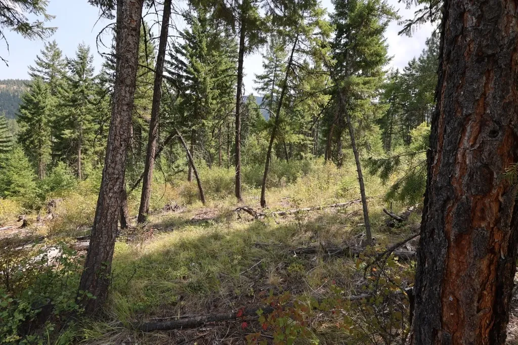 Nhn Tract 1c E Fork Combest Creek Road Plains MT 59859