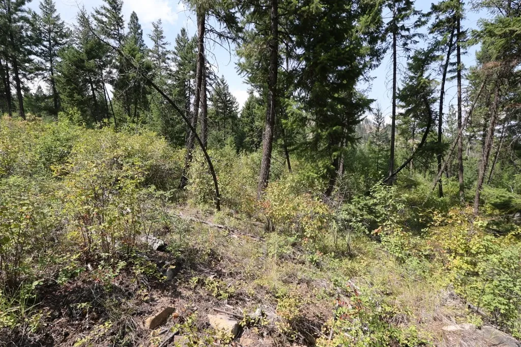 Nhn Tract 1c E Fork Combest Creek Road Plains MT 59859