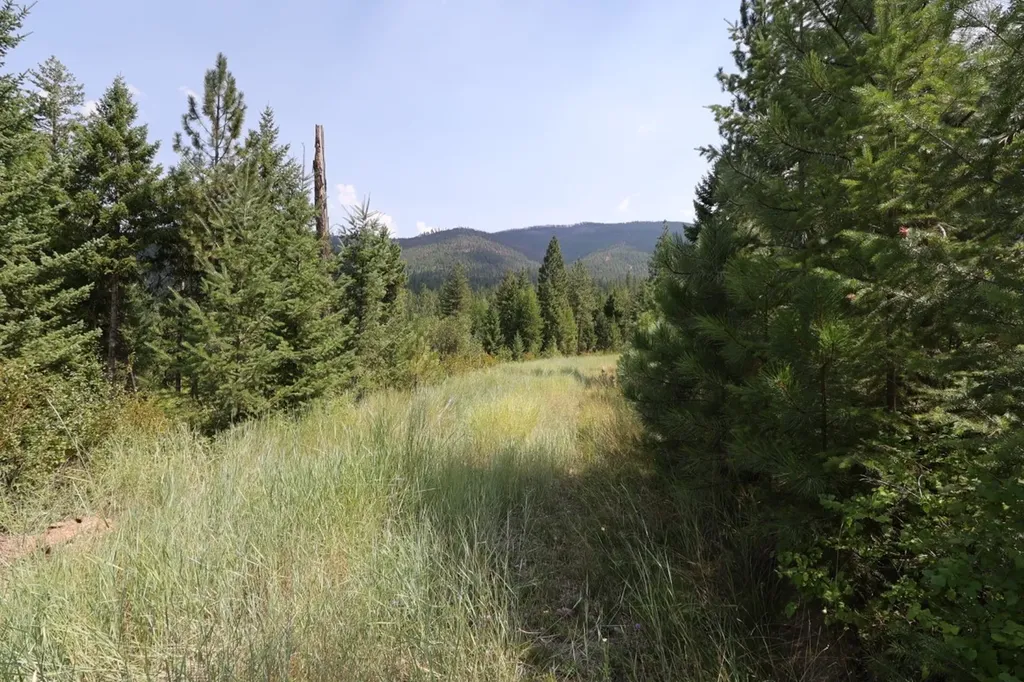 Nhn Tract 1c E Fork Combest Creek Road Plains MT 59859