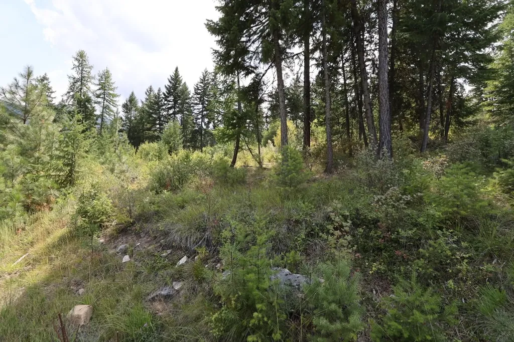 Nhn Tract 1c E Fork Combest Creek Road Plains MT 59859