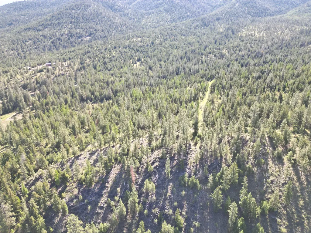 Nhn Tract 1c E Fork Combest Creek Road Plains MT 59859