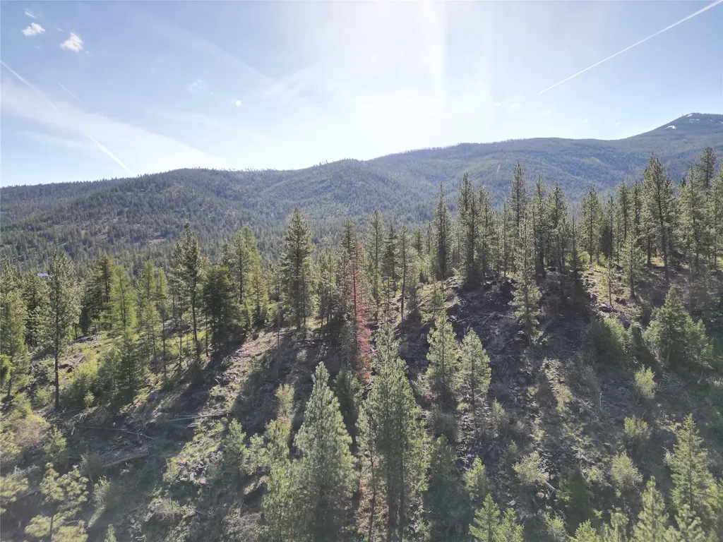 Nhn Tract 1c E Fork Combest Creek Road Plains MT 59859