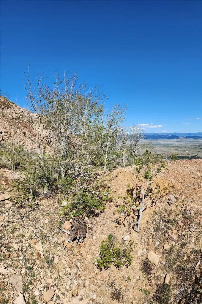 Nhn Alpha Lode & Alpha Fraction Lode, Alpha Trail Anaconda MT 59711