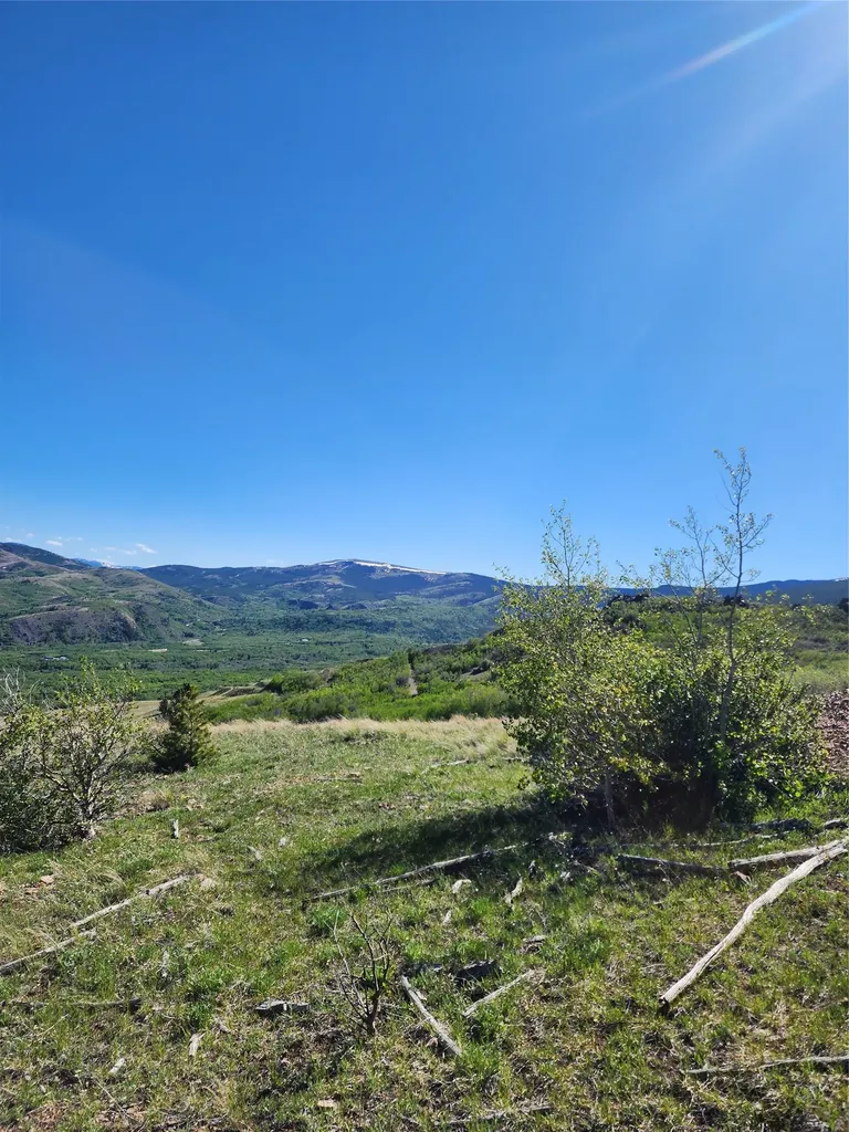 Nhn Alpha Lode & Alpha Fraction Lode, Alpha Trail Anaconda MT 59711