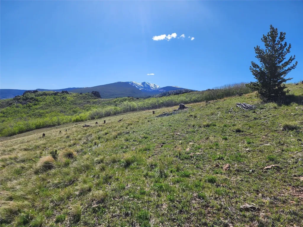 Nhn Alpha Lode & Alpha Fraction Lode, Alpha Trail Anaconda MT 59711